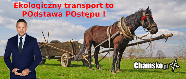 Nowoczesność