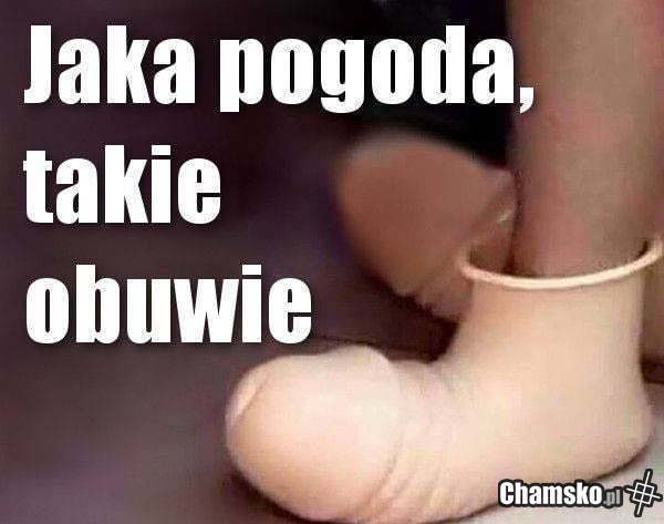 Pogoda