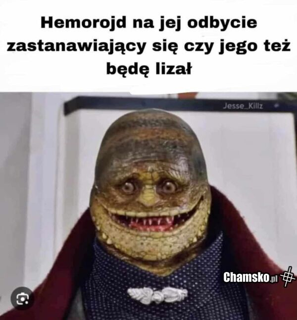 Lizanie