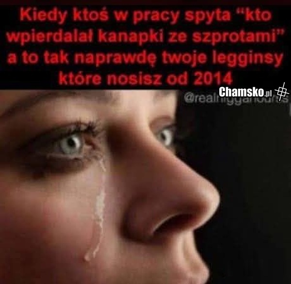 Zapach