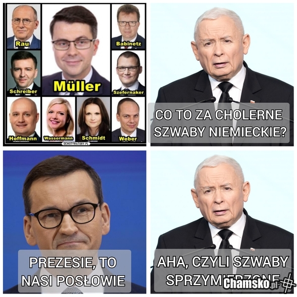 Skośnooki zamulił