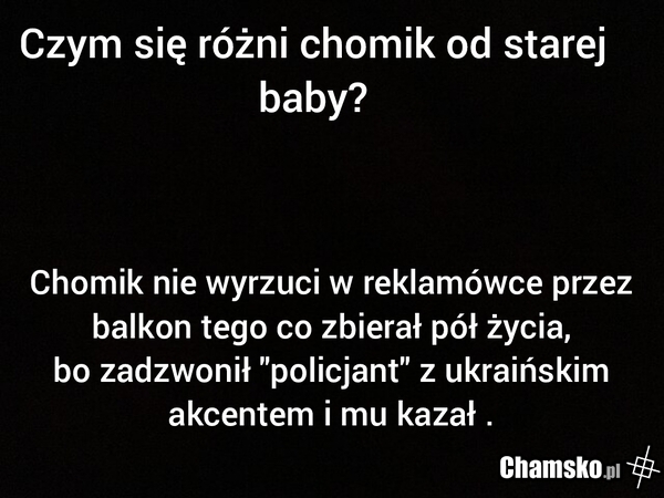 Polscy emeryci umierają z głodu