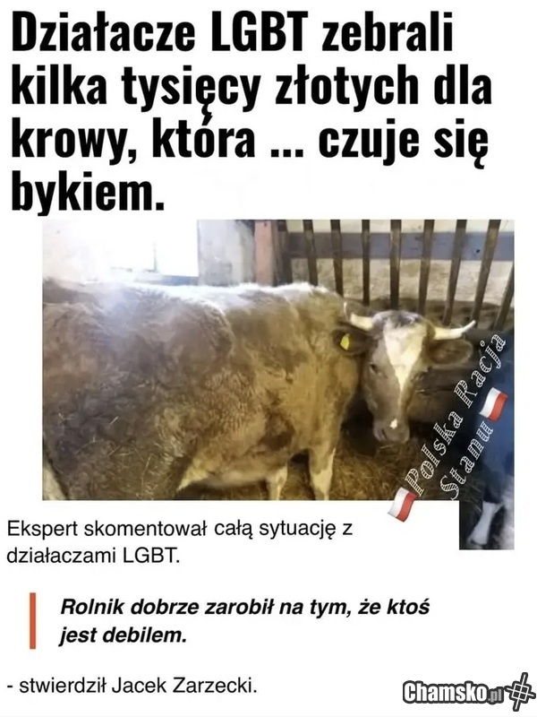 Nowy poziom spierdolenia