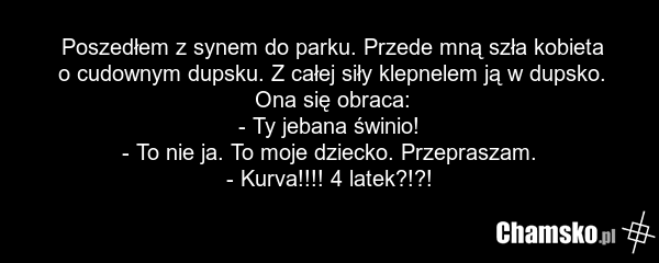 Poszedłem z synem do parku. Przede mną szła kobieta o cudownym dupsku. Z całej siły klepnelem ją w dupsko. Ona się obraca: - Ty jebana świnio! - To nie ja. To moje dziecko. Przepraszam. - Kurva!!!! 4 latek?!?!