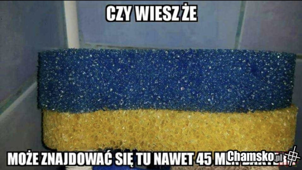 Bakterie