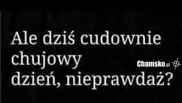 Dzisiejszy dzień