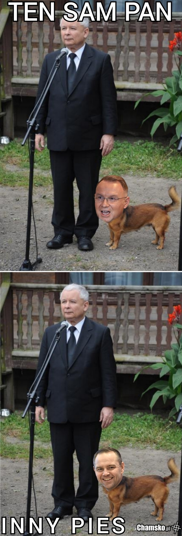 Czerwone skurwysyny znów chcą dojść do władzy