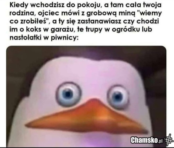Nakryty