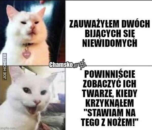 Bitwa niewidomych