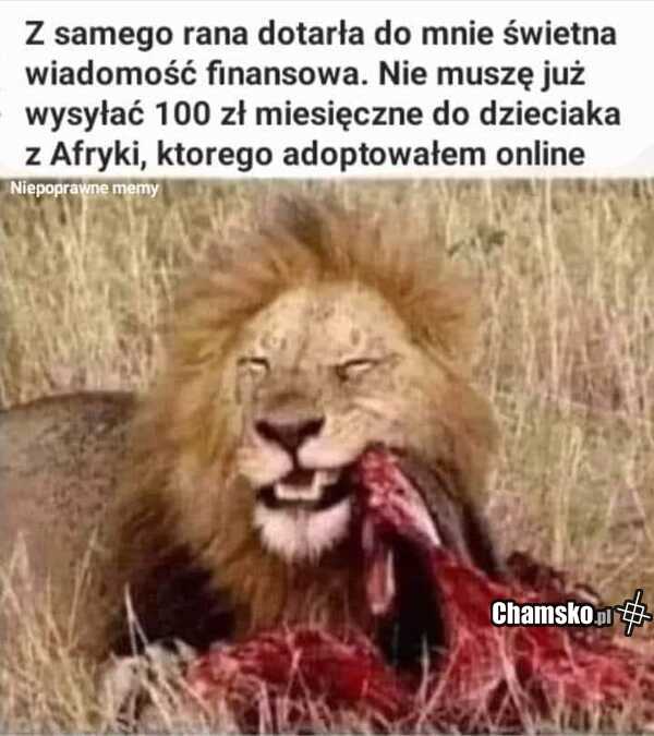 Adopcja online