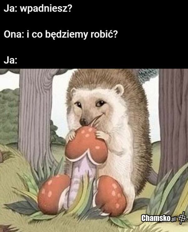 Wpadniesz?