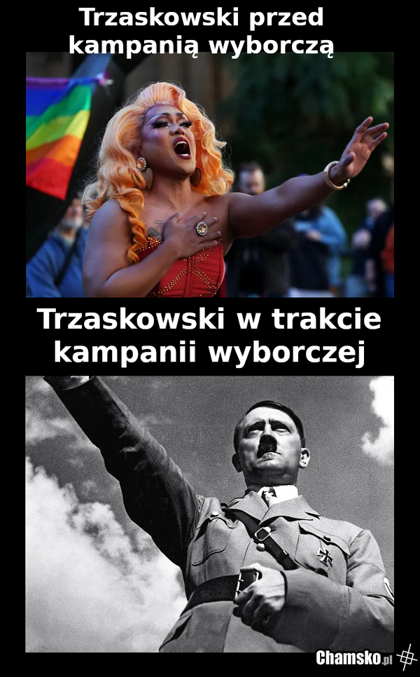 wybory