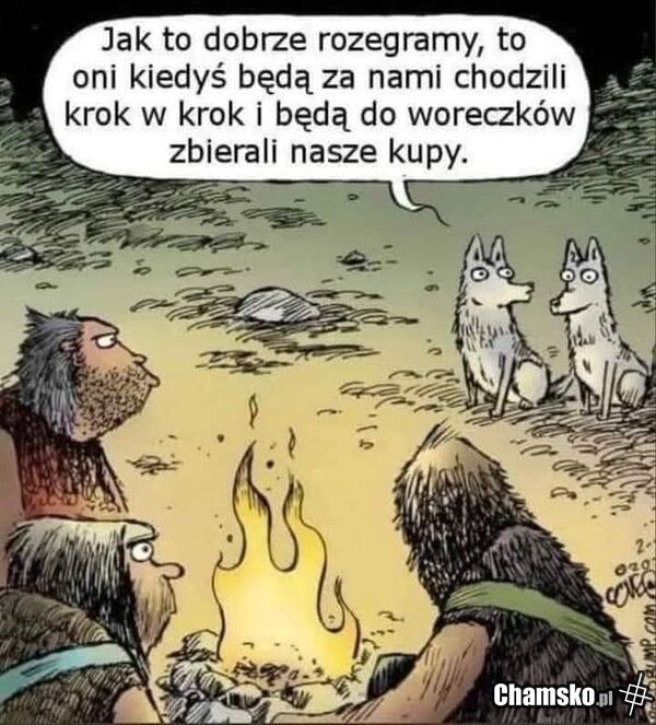 Dobrze to rozegrali.