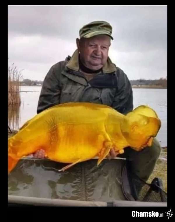 Ciekawe na co taki bydlak bierze? Kulki proteinowe, czerwony robak, kremówka wadowicka?
