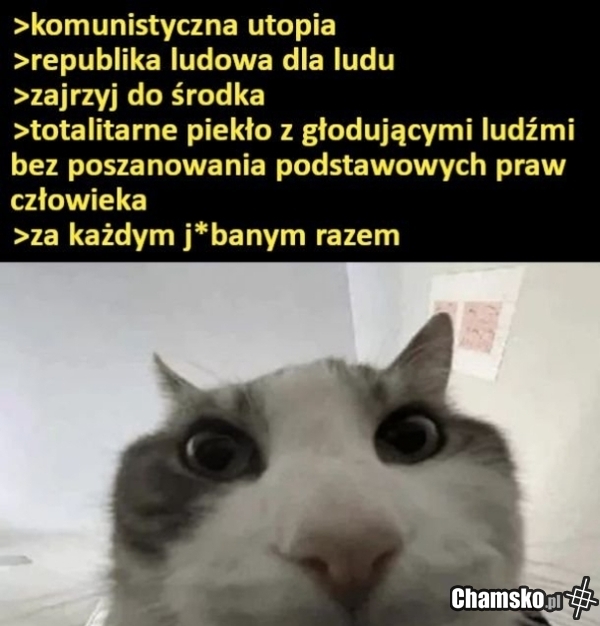 Następnym razem się uda XD