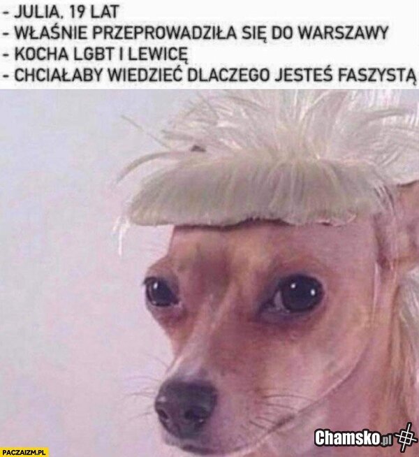 Taki obraz tej zarazy.