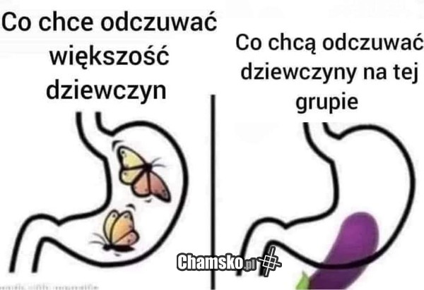 Motyle w brzuchu