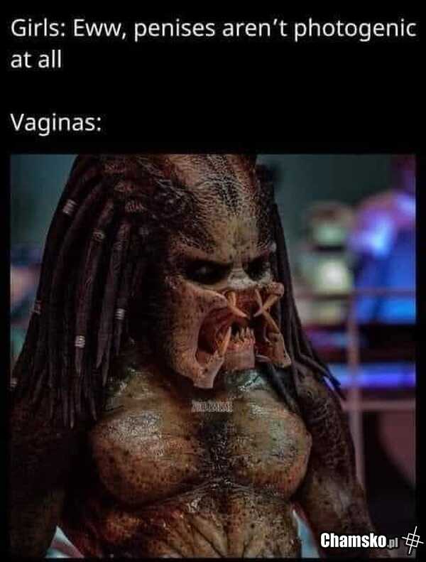 Waginy