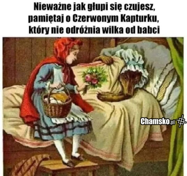 Czerwony kapturek to debilka