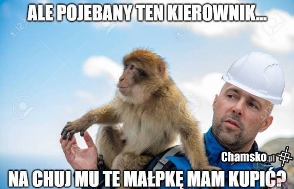 Małpka dla kierownika