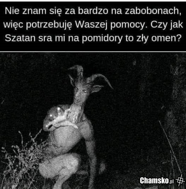 Szata
