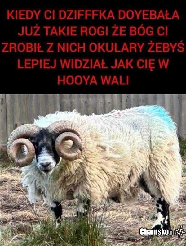 Wielkie rogi