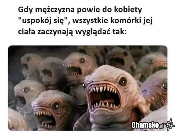 Uspokój się