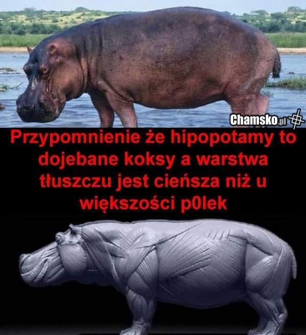 Przypomnienie