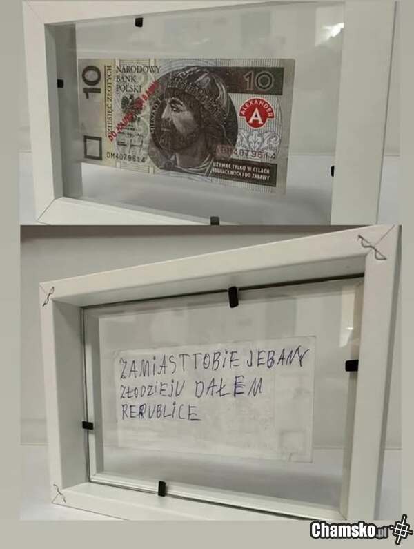 Podarunek dla owsika