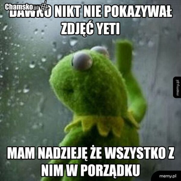 Ktoś wie co u yeti?