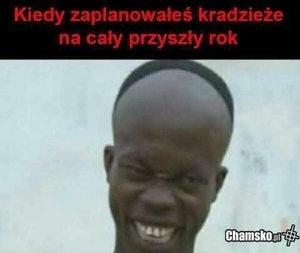 Wszystko zaplanowane