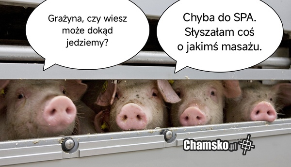 Masaż czy masarz?