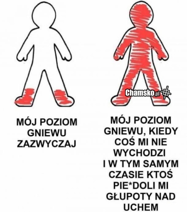 Poziom gniewu