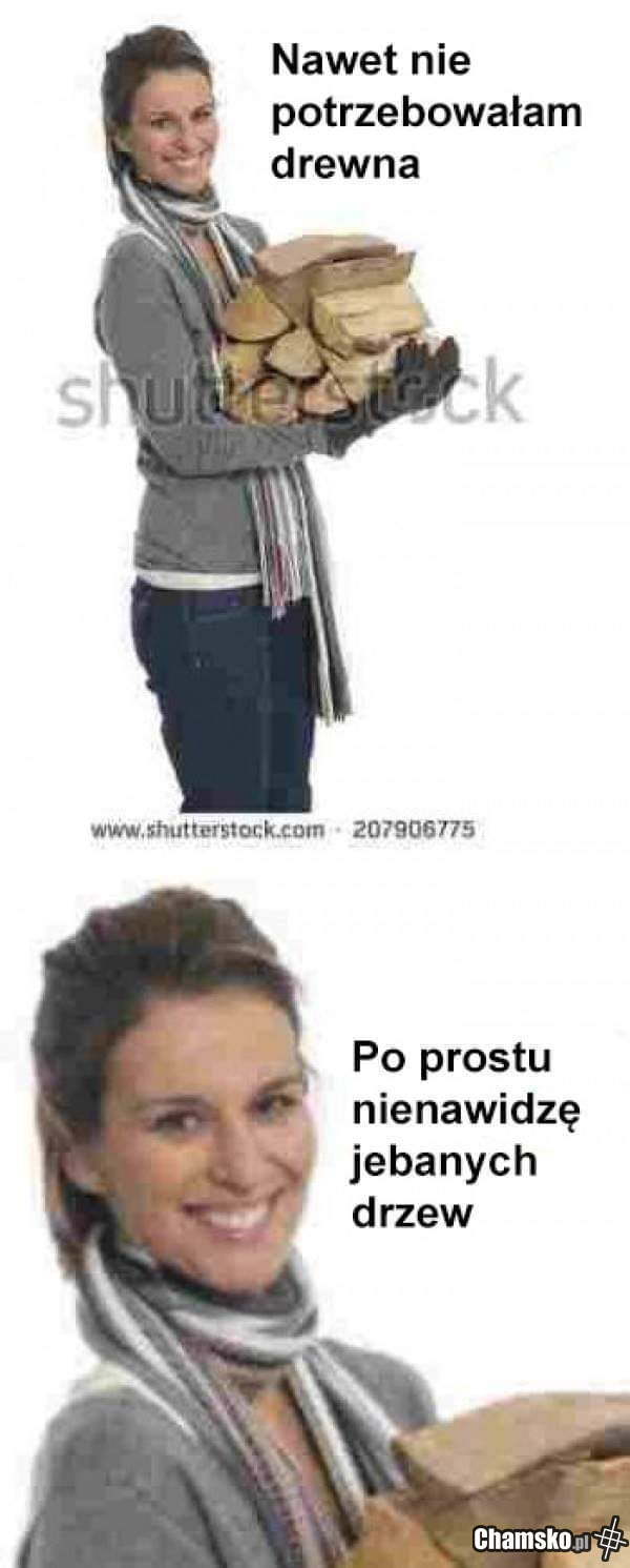 Drewno