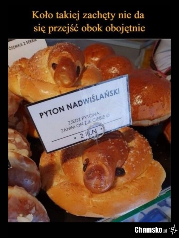 Może miało być "pytong", nie "pyton"?
