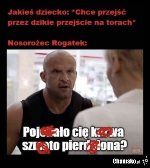 Rogatek
