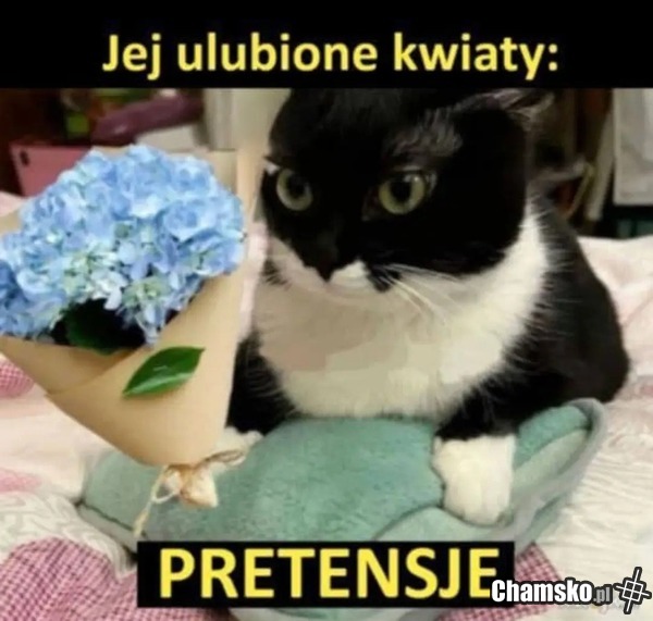 Ulubione kwiaty
