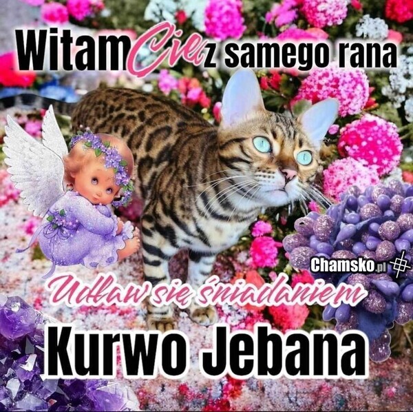 Witam Cie z samego rana
