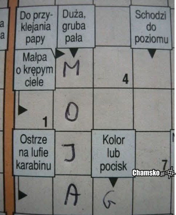 Duża gruba pała