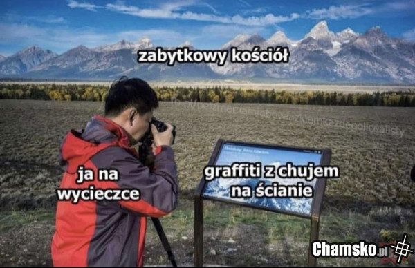 Elo