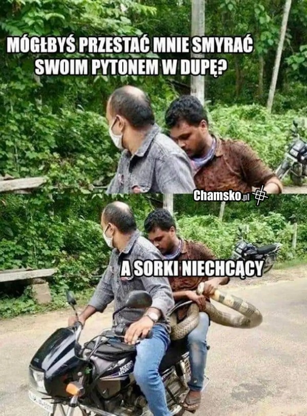 Smyranie pytonem