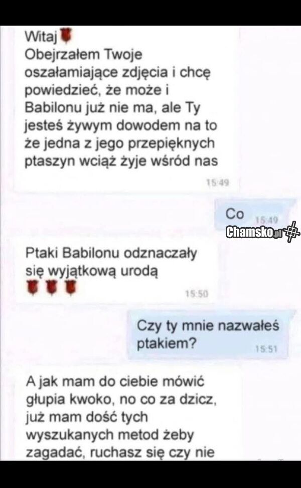 Ptak