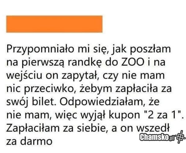 Randka w zoo