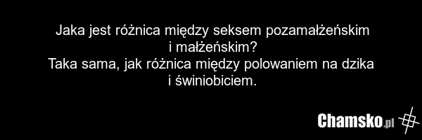 Jaka jest różnica między seksem pozamałżeńskim i małżeńskim? Taka sama, jak różnica między polowaniem na dzika i świniobiciem.