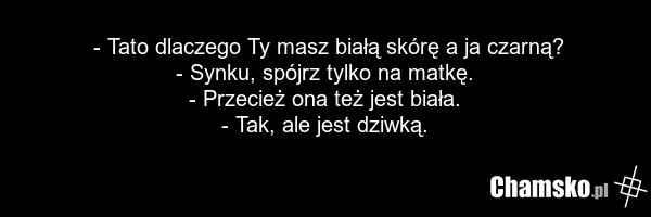 - Tato dlaczego Ty masz białą skórę a ja czarną? - Synku, spójrz tylko na matkę. - Przecież ona też jest biała. - Tak, ale jest dziwką.