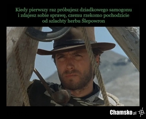 Ślepowron