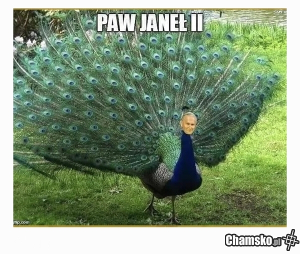 Paw Janeł II