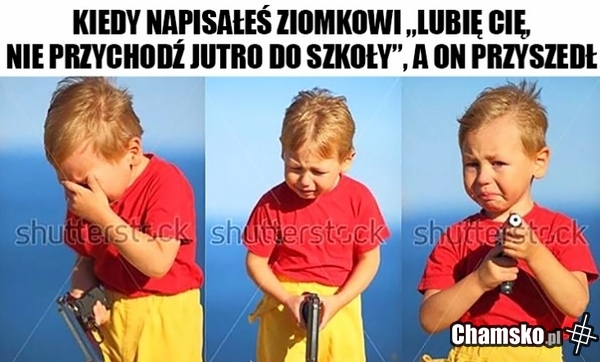 No szkoda