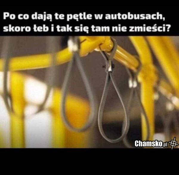 W autobusie