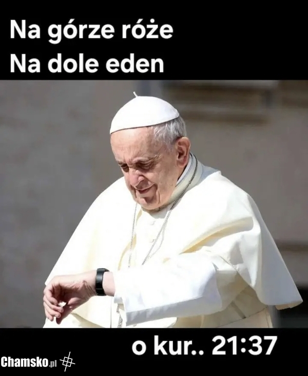 Odpowiednia godzina, by wyciągnąć kopyta 2137